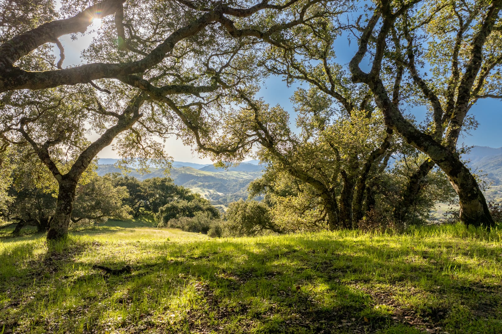 10 - 52_Chamisal_Pass_020 - © Canning Properties Group 2025