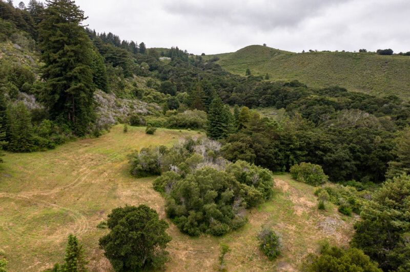 Hill side image with green trees and cloudy sky. There are also hills in the background