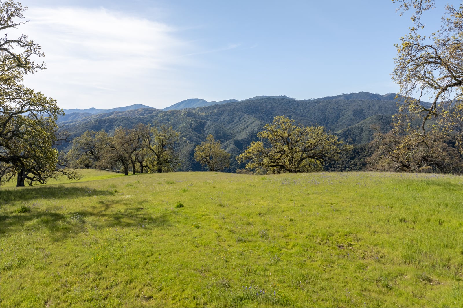 5 - 16_Long_Ridge_Trail_017 - © Canning Properties Group 2025