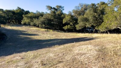 52 Chamisal Pass - 2022 La Tierra Realty - low res - MLS20_Lot 136_28 1