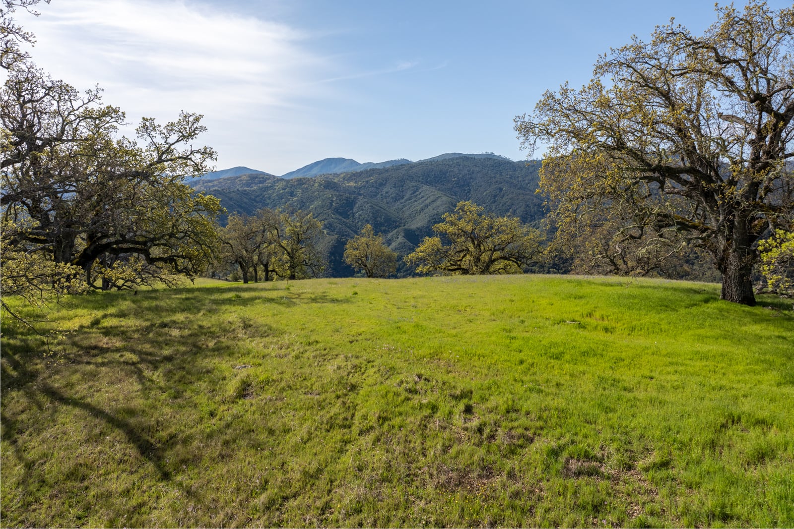 7 - 16_Long_Ridge_Trail_015 - © Canning Properties Group 2025